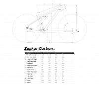 Gt zaskar store carbon expert 2020