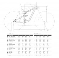 Gt force 2024 size chart